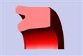 u-cup hydraulic rod seal